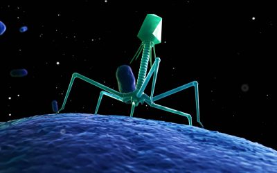 El retorno de los virus devoradores de bacterias