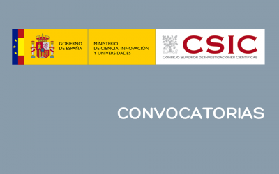 Ayudas para contratos de Personal Técnico de Apoyo (PTA) 2020