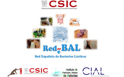 XIII Reunión de la Red Española de Bacterias Lácticas (RedBal) en el CIB-CSIC Madrid