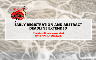 XX edición virtual del Neurofly, el 4 de Mayo del 2021