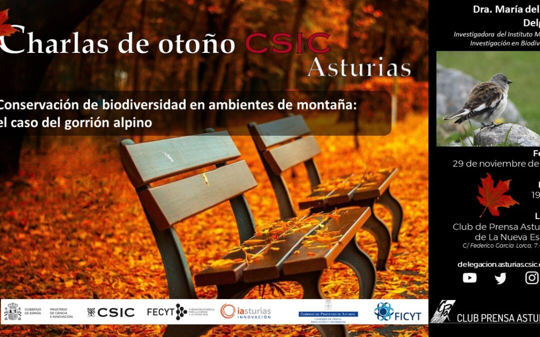 Las Charlas de Otoño – Conservación de biodiversidad en ambientes de montaña:  el caso del gorrión alpino | María del Mar Delgado