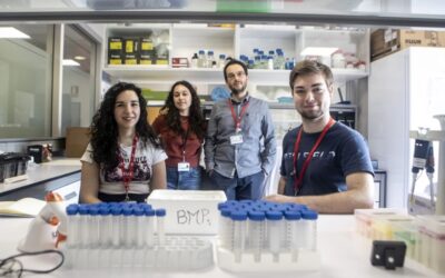 La clave está en las enfermedades poco frecuentes.