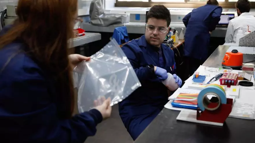 El Instituto de Ciencia y Tecnología del Carbono participa en un proyecto para la producción eficiente de hidrógeno verde