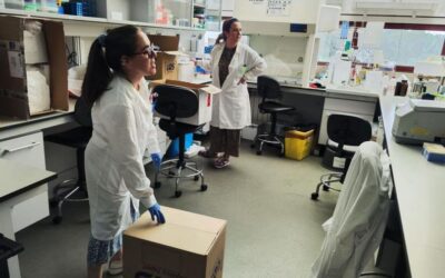 El Instituto de Productos Lácteos de Asturias (IPLA) de mudanza a la nueva sede